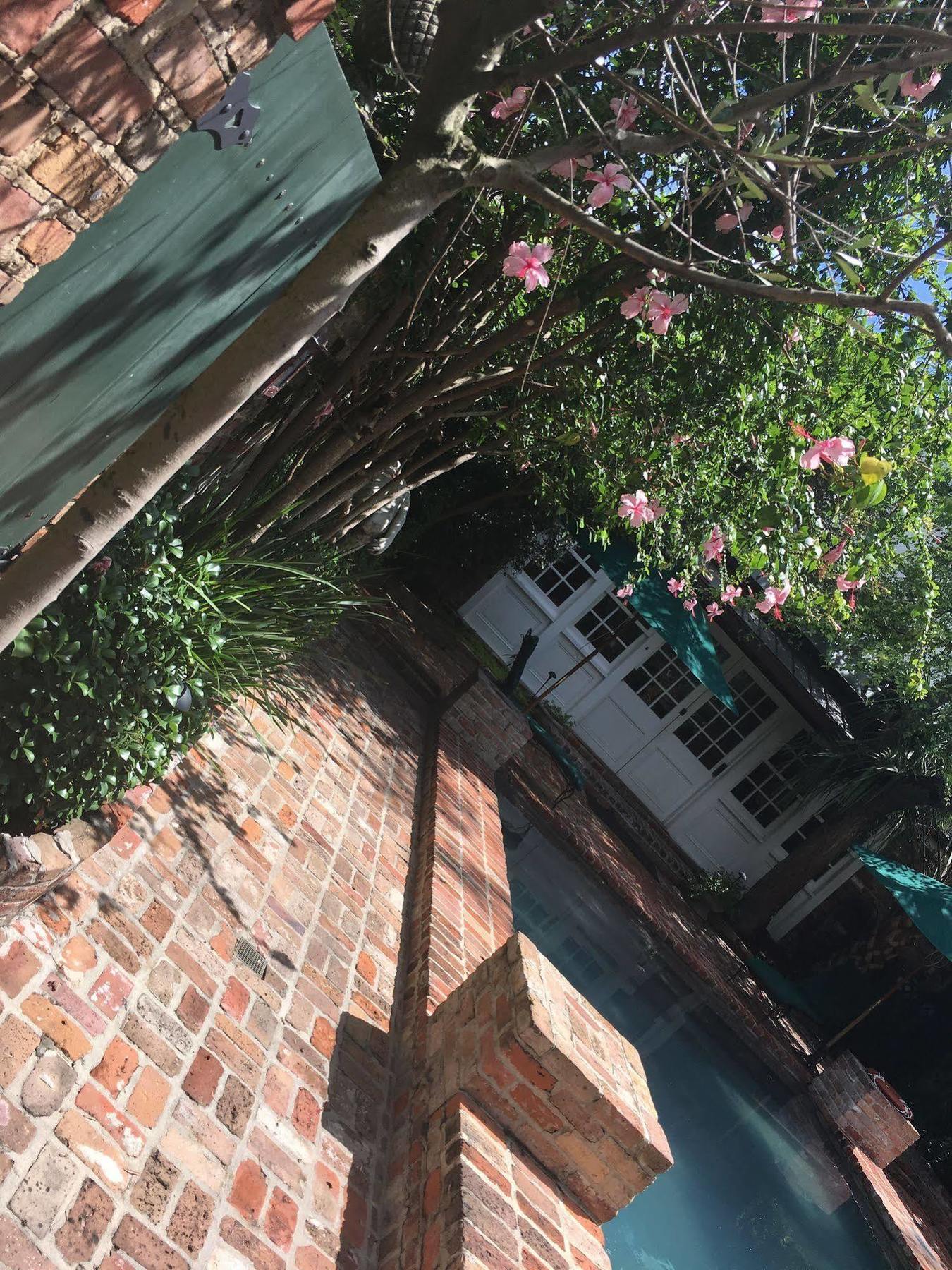 Audubon Cottages Nueva Orleans Exterior foto